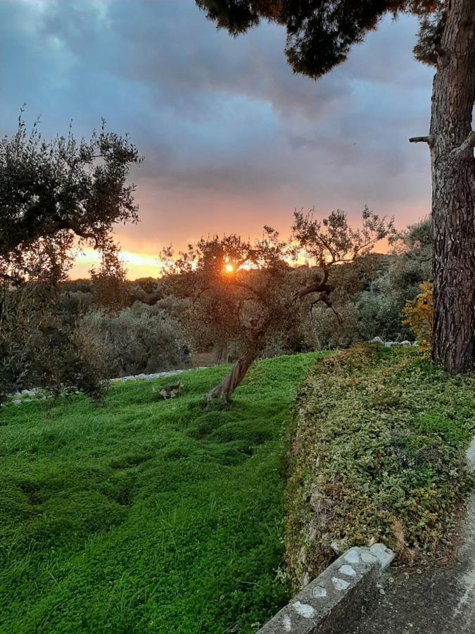 Alla Panoramica Monopoli Kültér fotó