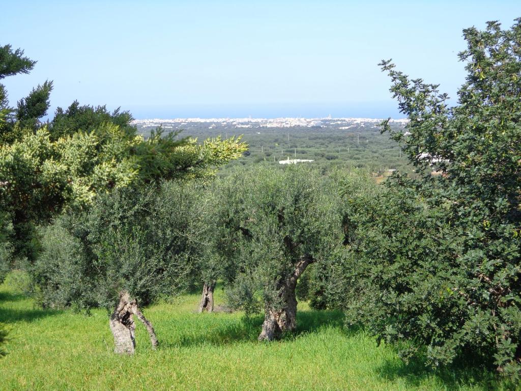 Alla Panoramica Monopoli Kültér fotó